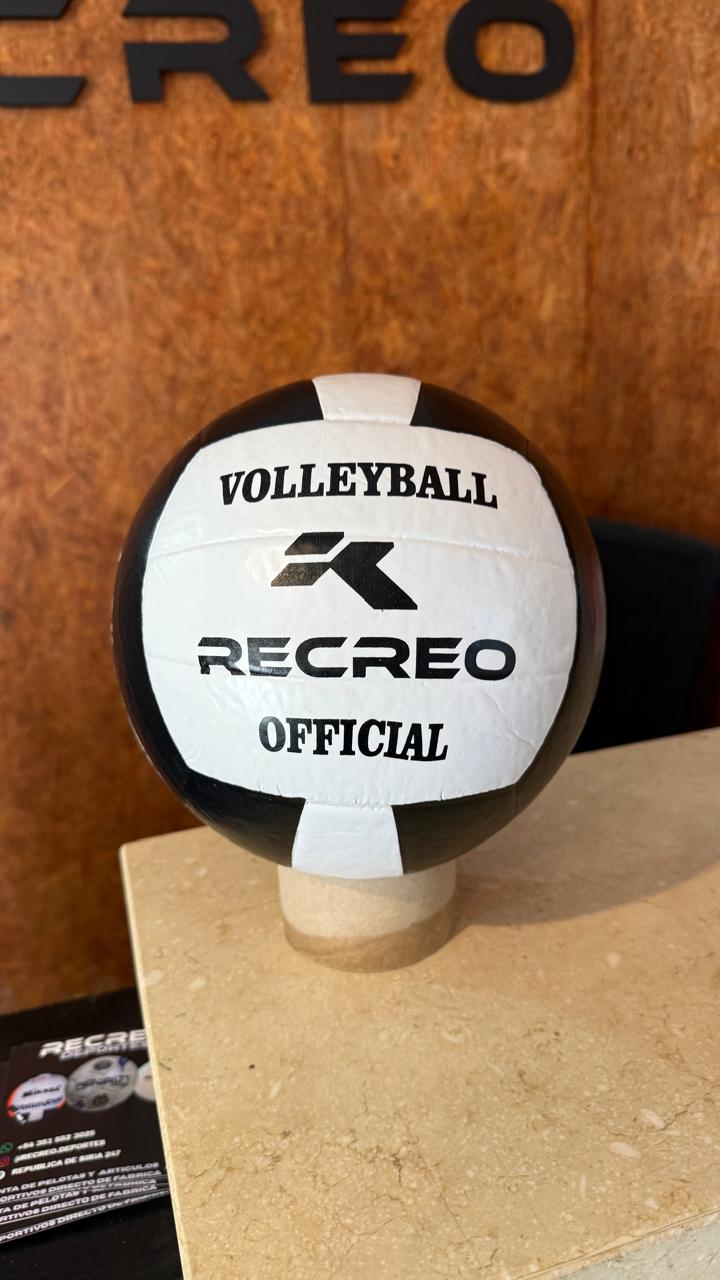 Pelota de Voley